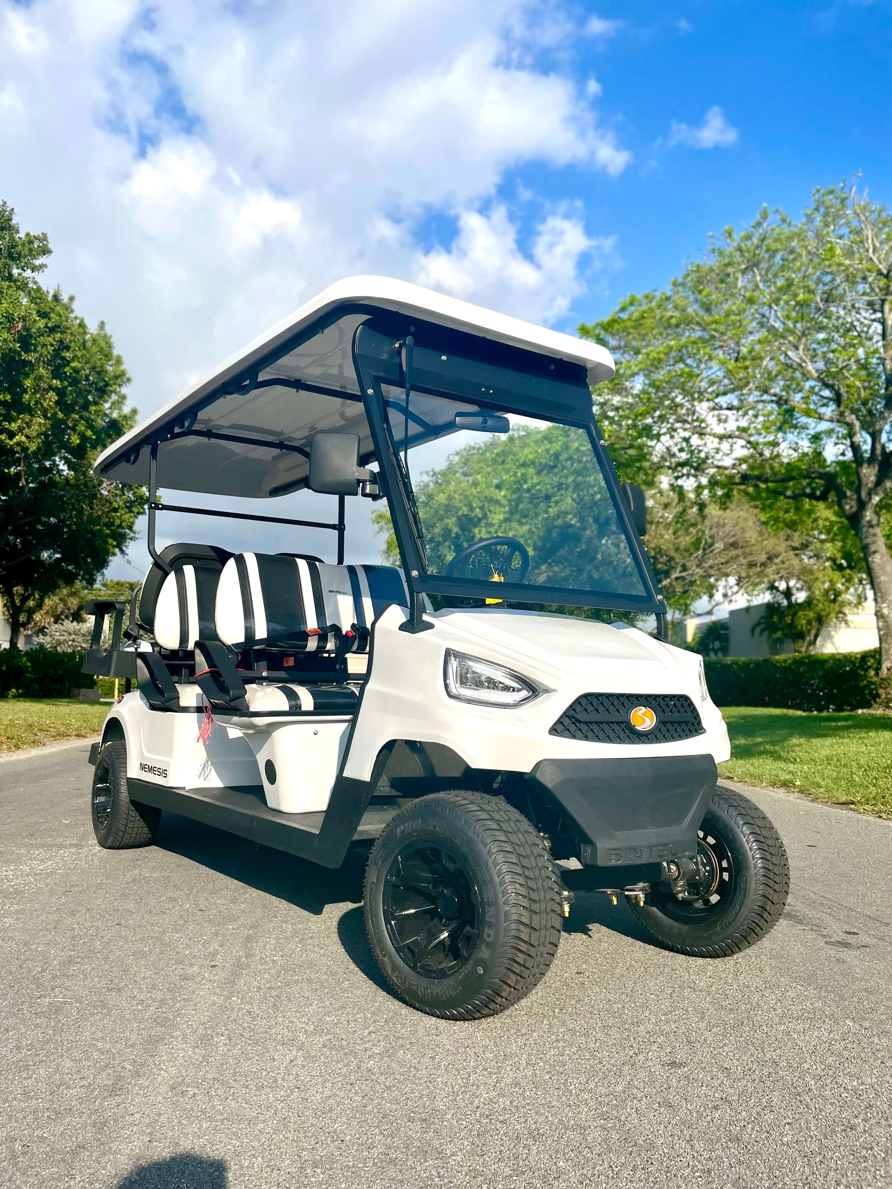 Buy Premium quality Bintelli BMK Golf Carts